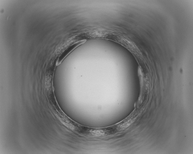 X0000062670409200601041015