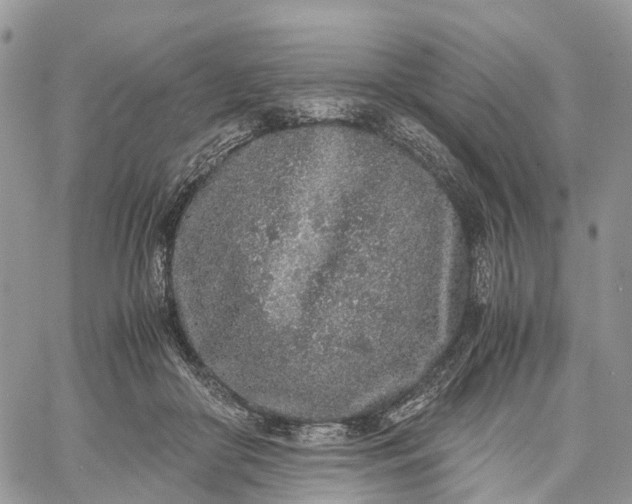 X0000062670410200601041015