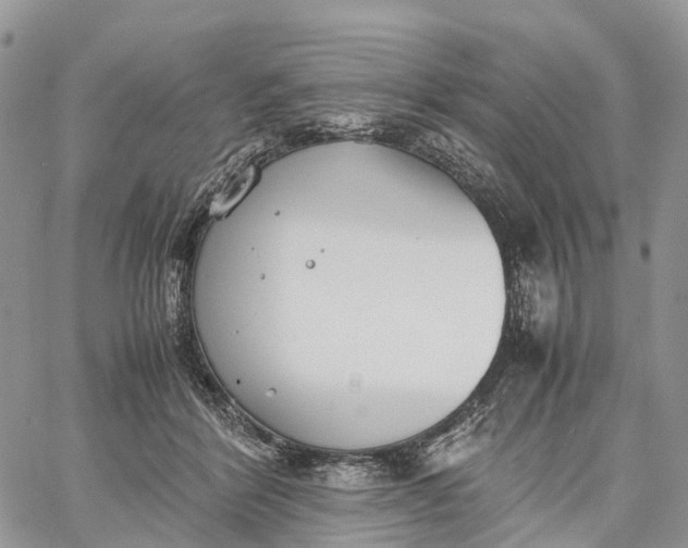 X0000062670412200601041015