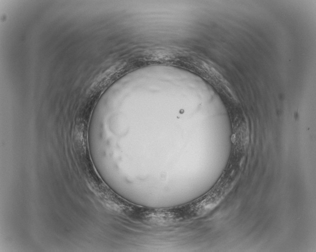 X0000062670415200601041015