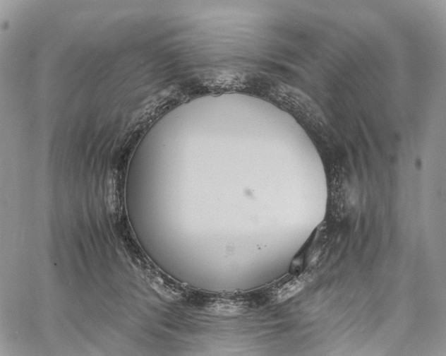 X0000062670416200601041015