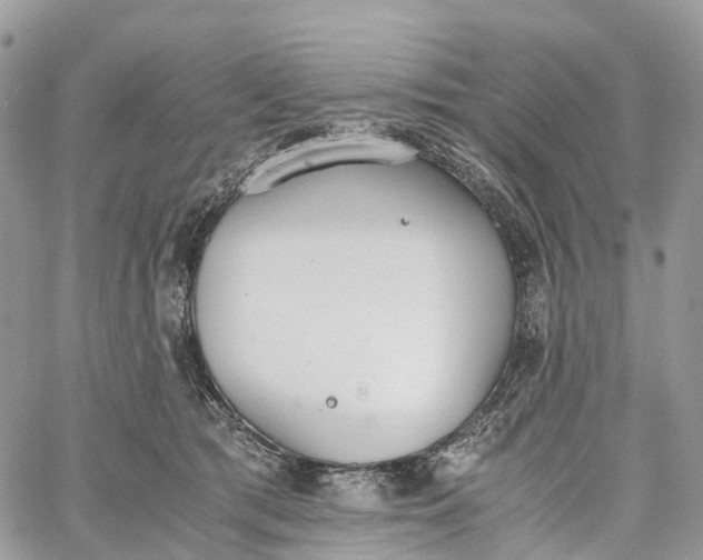 X0000062670417200601041014