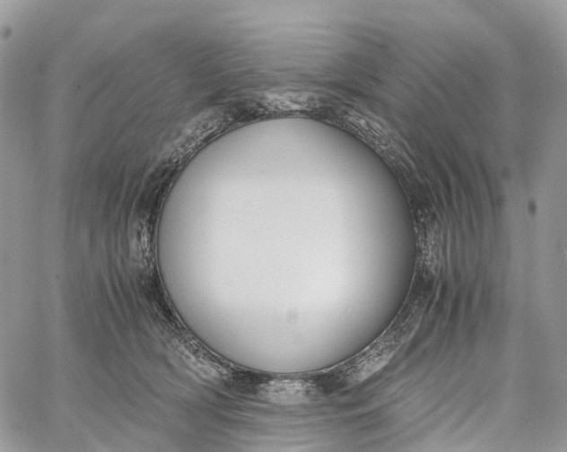 X0000062670418200601041014