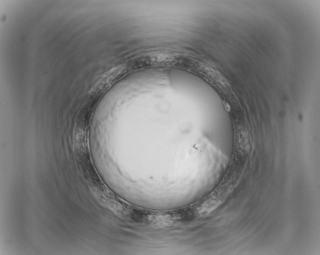 X0000062670419200601041014