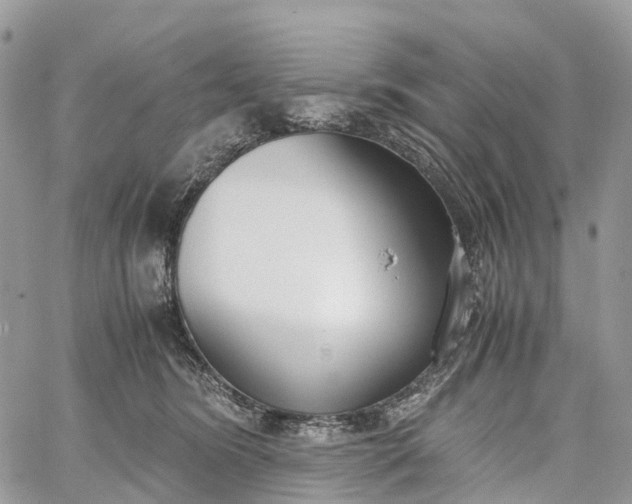 X0000062670420200601041014