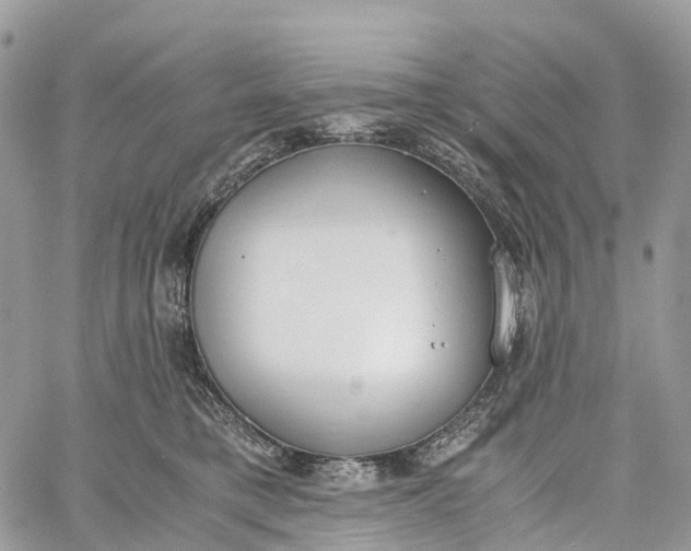 X0000062670421200601041014