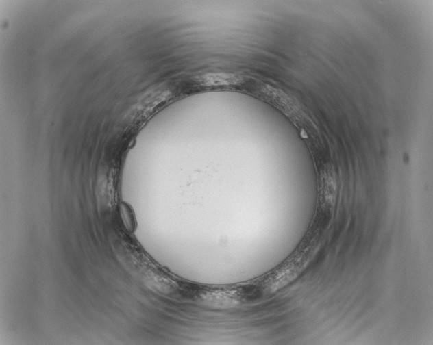 X0000062670422200601041014