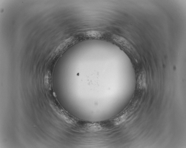 X0000062670424200601041014