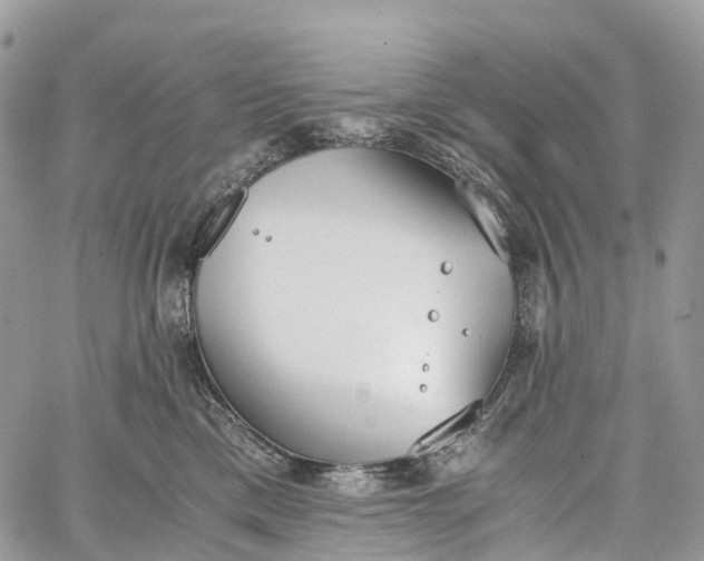 X0000062670425200601041014