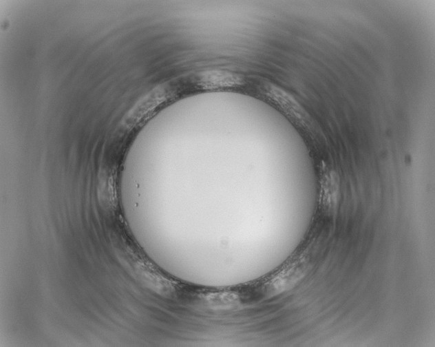 X0000062670426200601041014