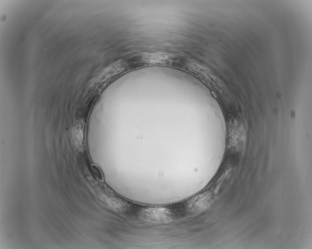 X0000062670427200601041014