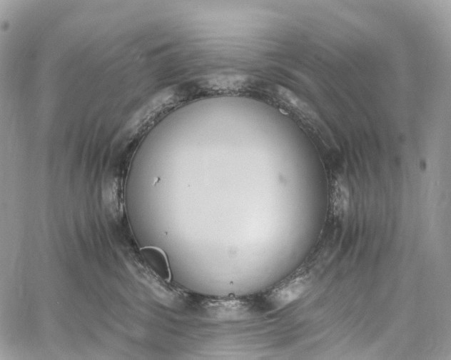 X0000062670428200601041014