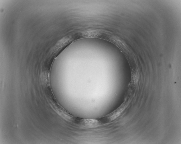 X0000062670429200601041014