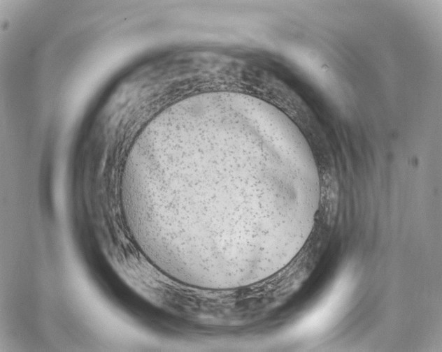 X0000062670431200601041014