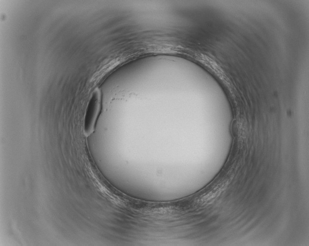 X0000062670433200601041013