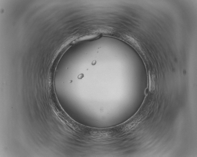 X0000062670435200601041013