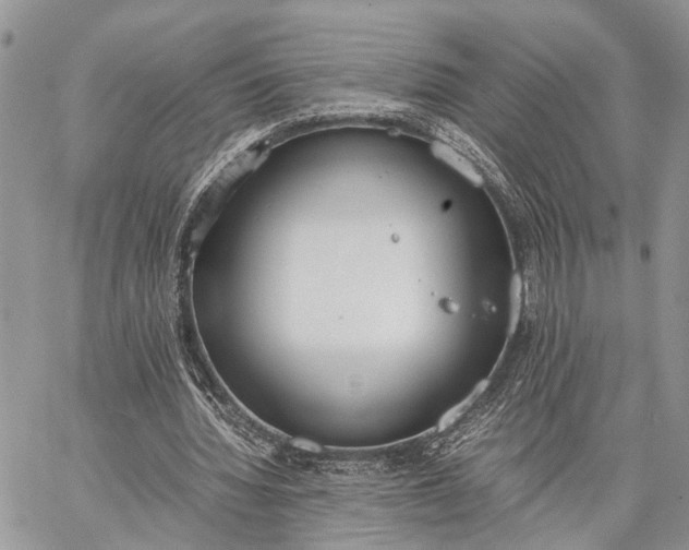 X0000062670436200601041013