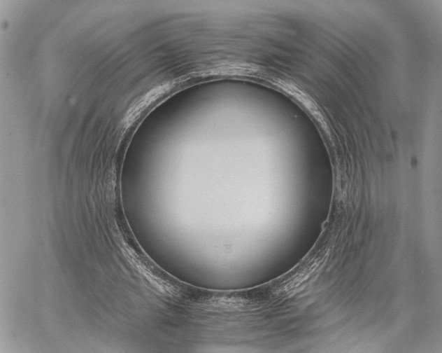 X0000062670437200601041013