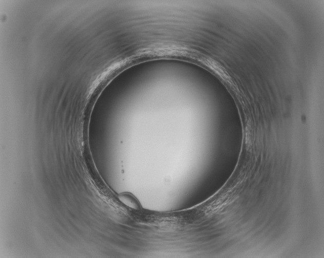 X0000062670438200601041014