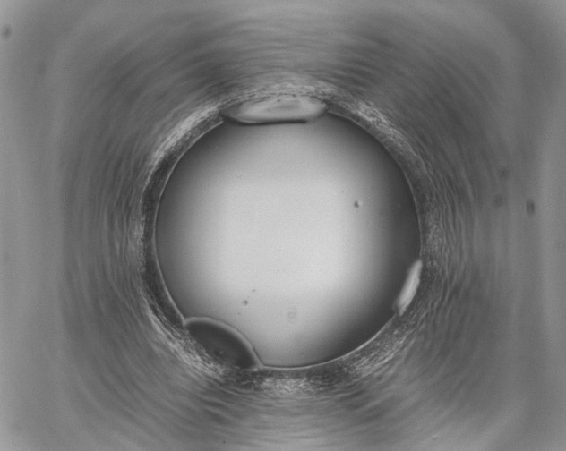 X0000062670440200601041014