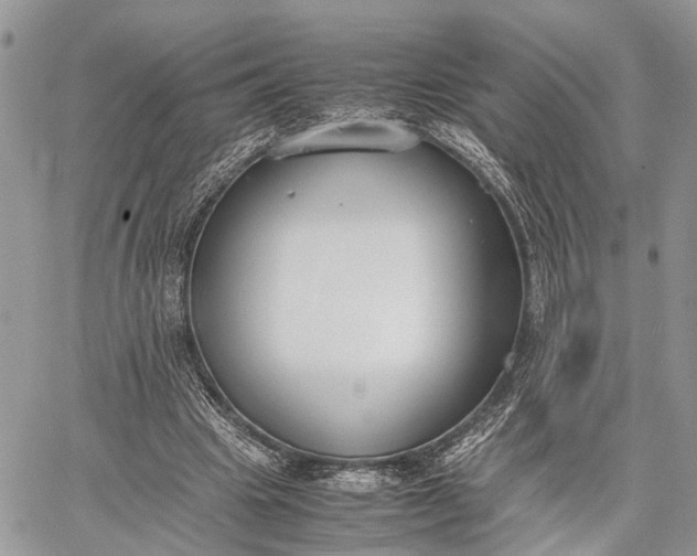 X0000062670441200601041014