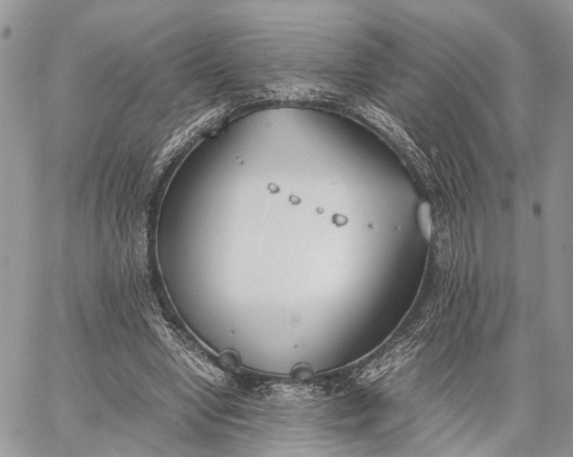 X0000062670442200601041014