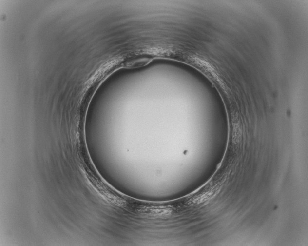 X0000062670443200601041014