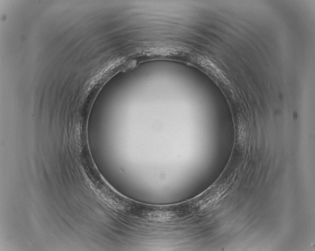 X0000062670444200601041014