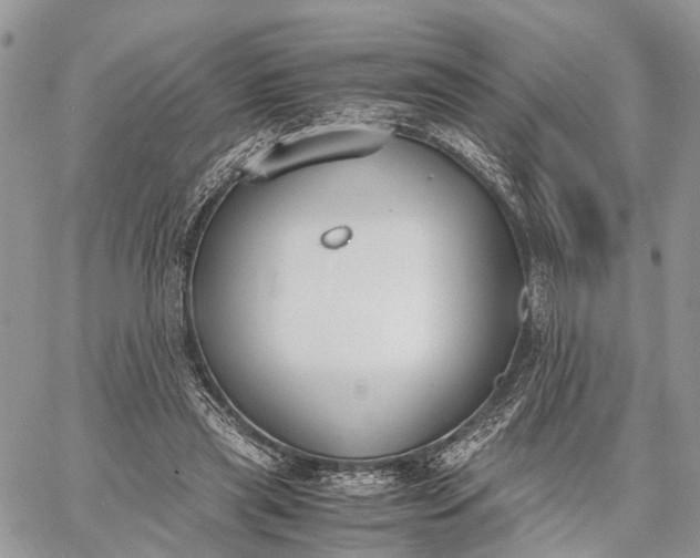 X0000062670445200601041014