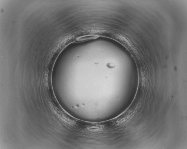 X0000062670447200601041014