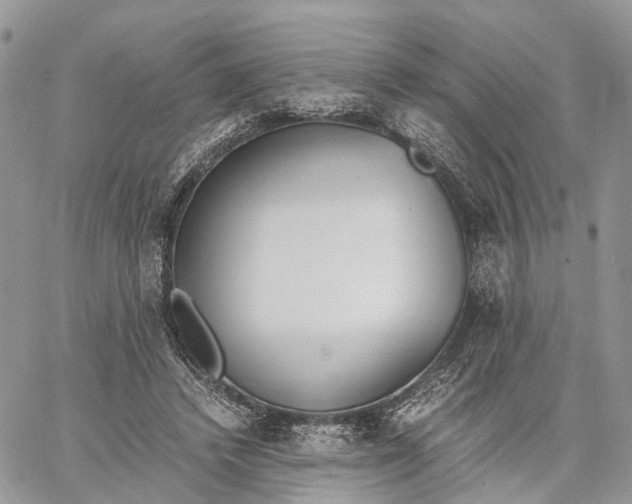 X0000062670448200601041014