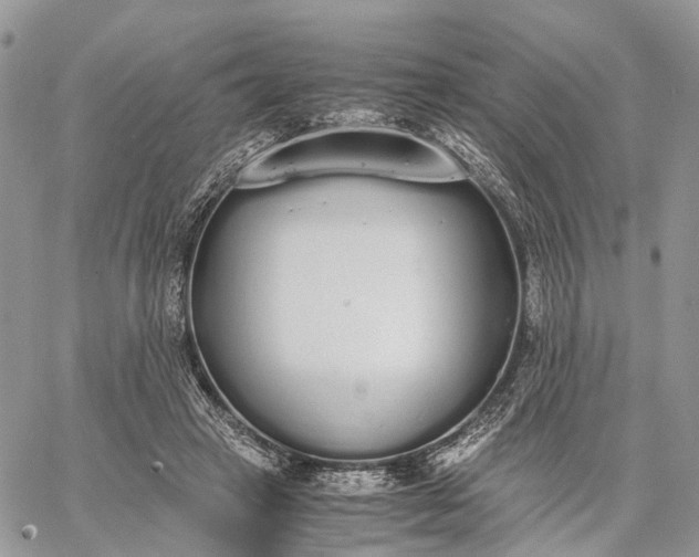 X0000062670449200601041014