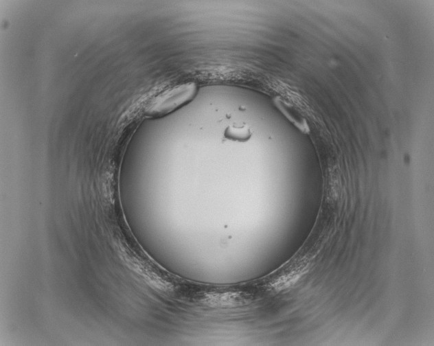 X0000062670450200601041014