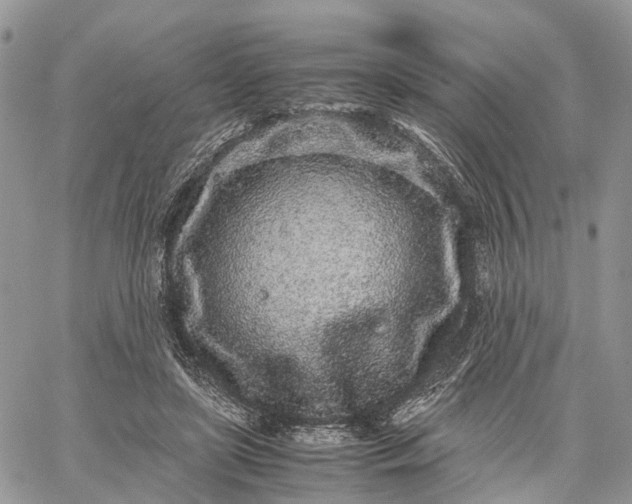 X0000062670451200601041014