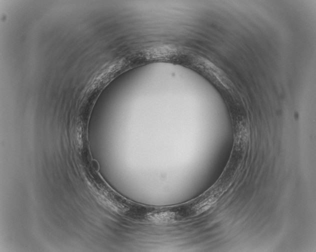 X0000062670452200601041014