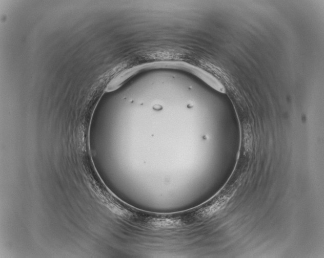 X0000062670453200601041014