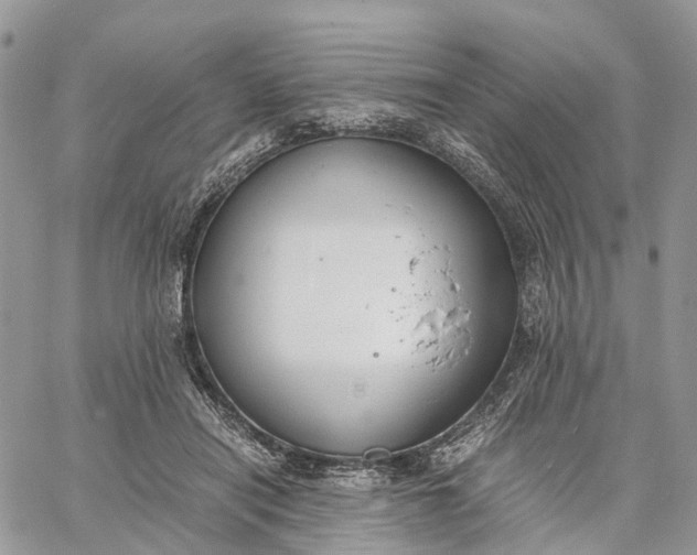 X0000062670454200601041014