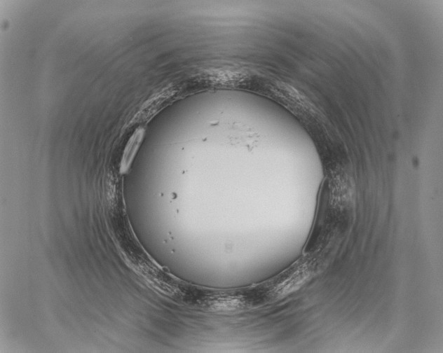 X0000062670456200601041014