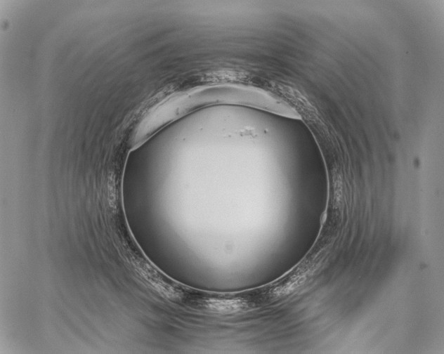 X0000062670457200601041014