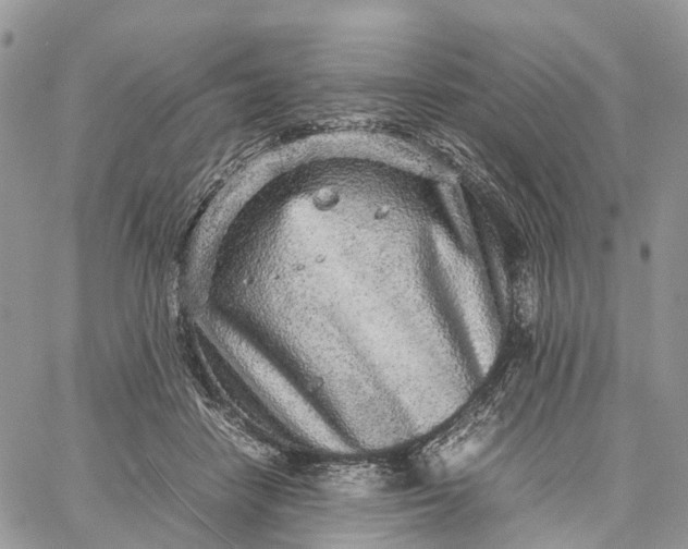 X0000062670458200601041014