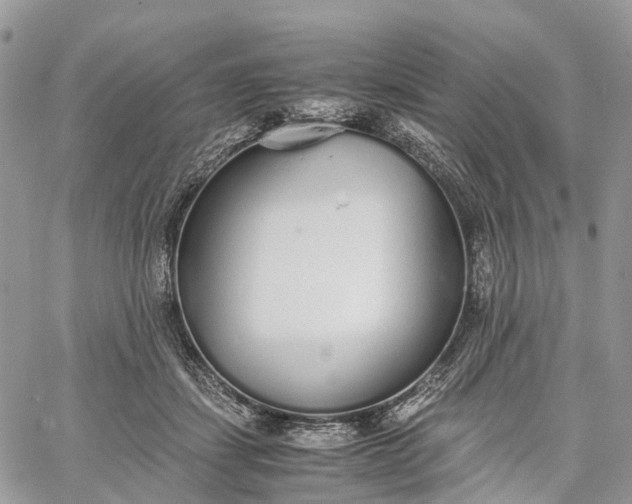 X0000062670459200601041014