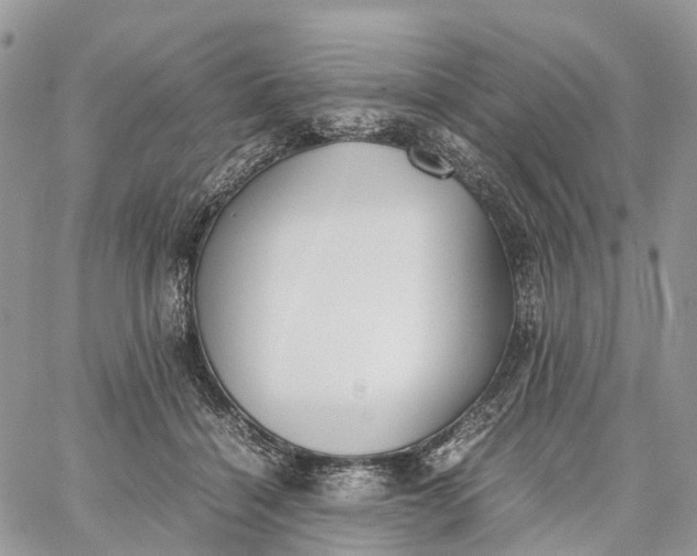 X0000062670460200601041014