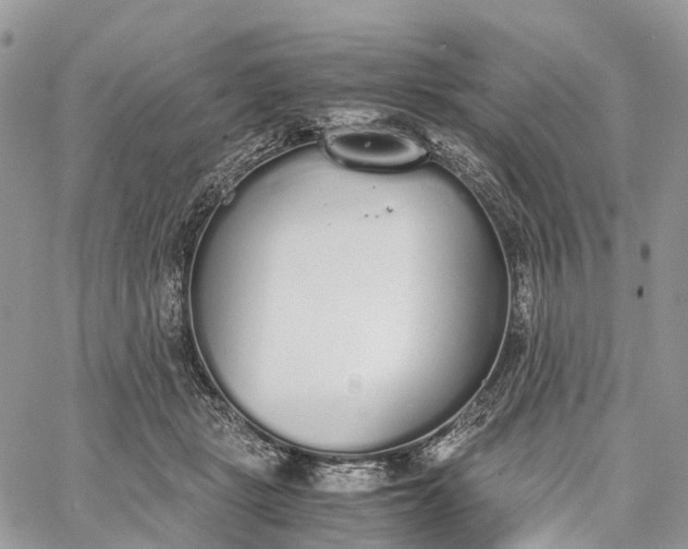 X0000062670461200601041014