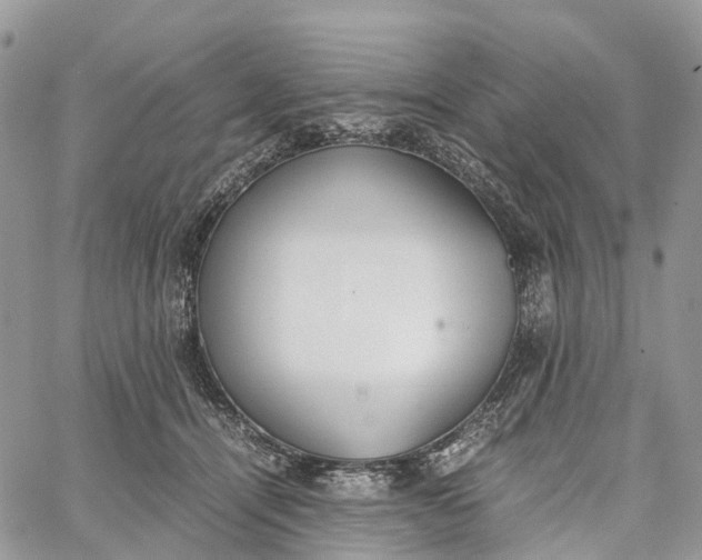 X0000062670464200601041014