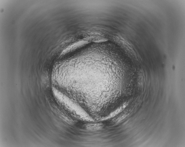 X0000062670465200601041014