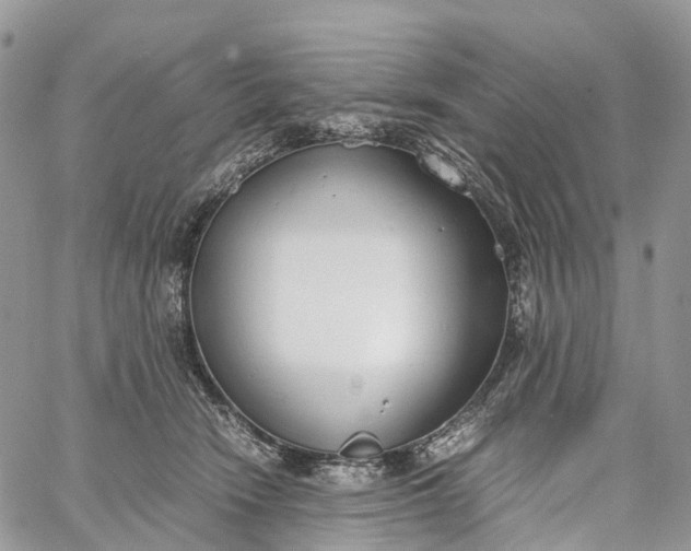 X0000062670466200601041014