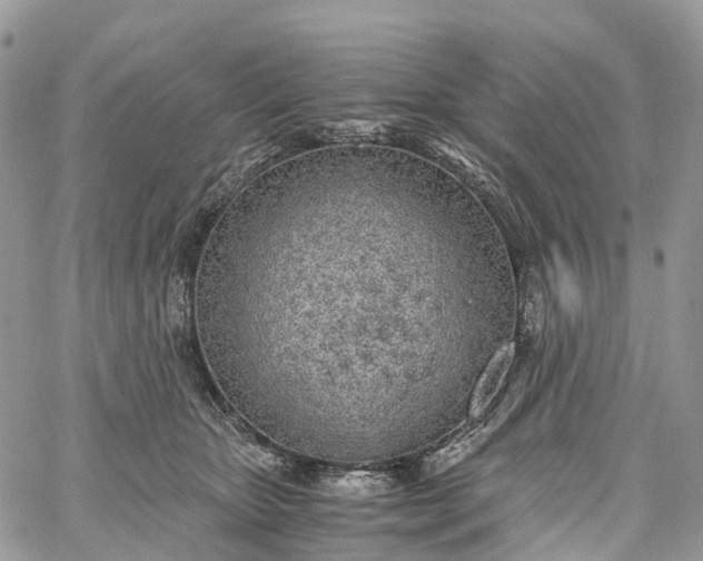 X0000062670467200601041014