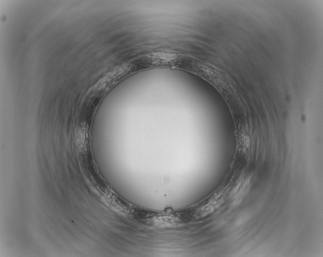 X0000062670468200601041014