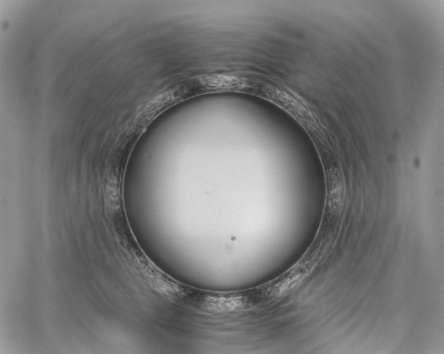 X0000062670469200601041014