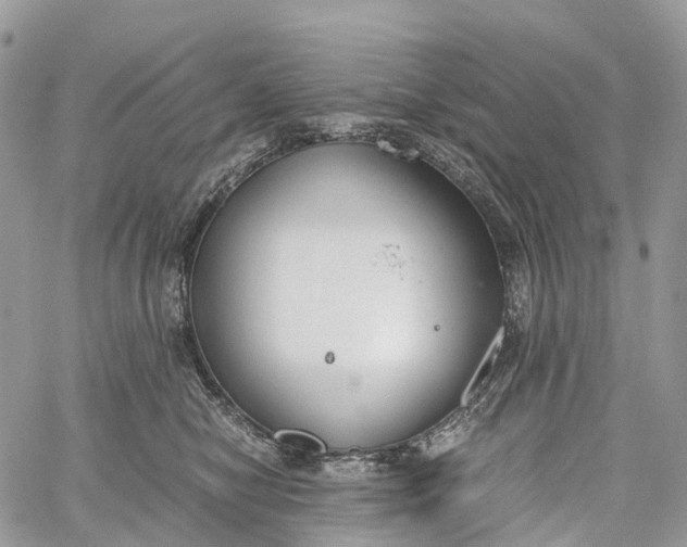 X0000062670470200601041014